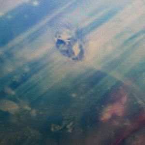 Meet your Posher, Stanley